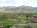 روستای مسلم آباد ساوه (از توابع نوبران)