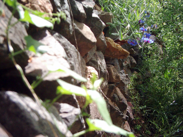 ديوارهاي سنگي باغ​هاي نيوشت