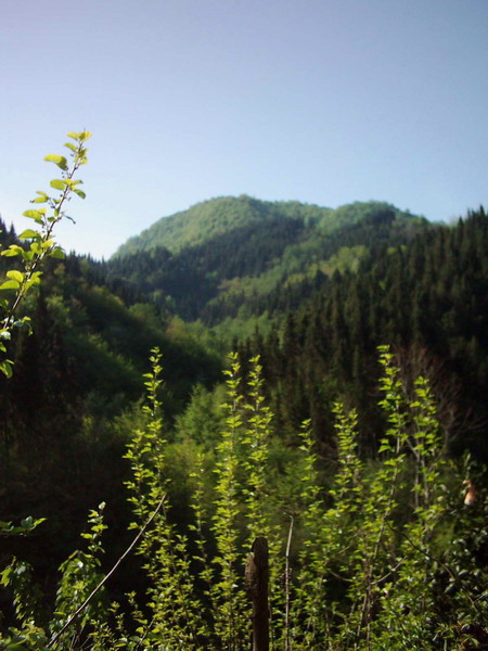 قشنگ ترين عكس من