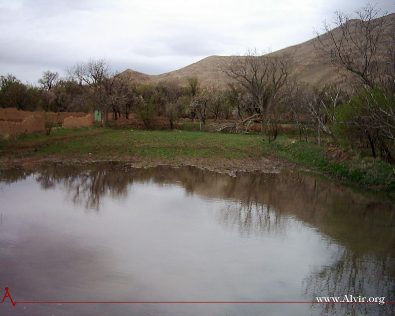 روستاي الوير