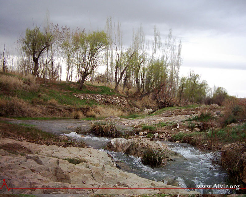 روستاي الوير