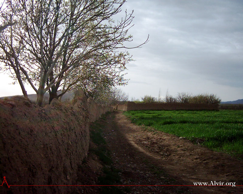 روستاي الوير