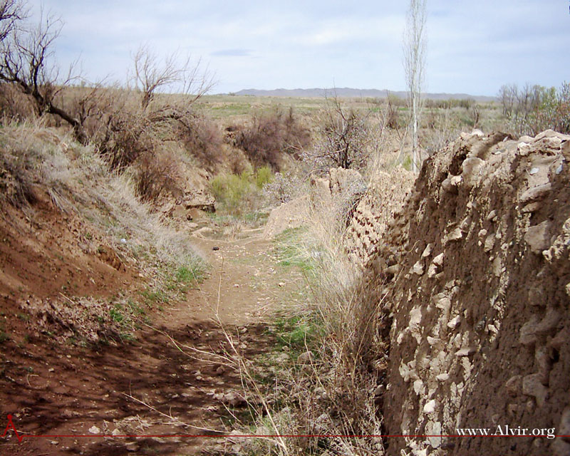 روستاي الوير