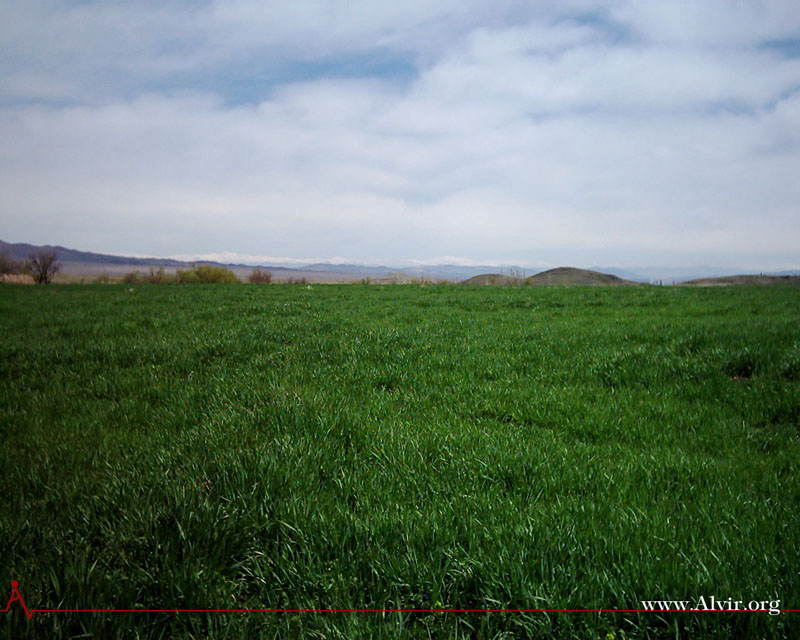 روستاي الوير