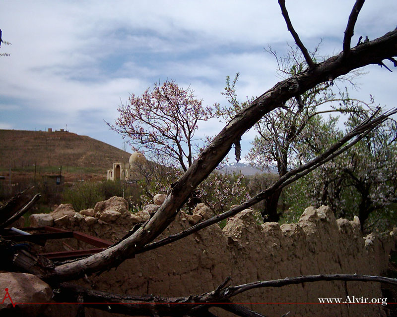 روستاي الوير