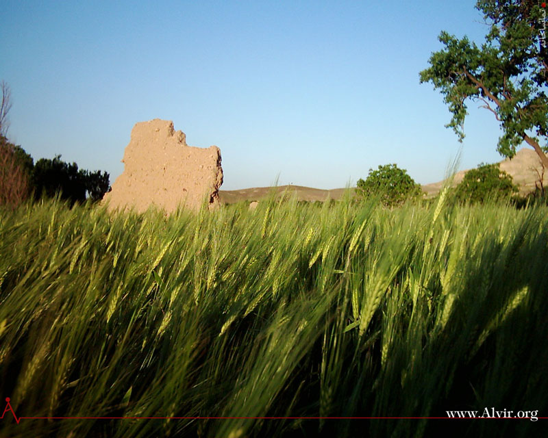خرداد ماه روستاي الوير ساوه