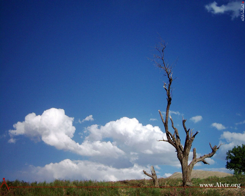 خرداد ماه روستاي الوير ساوه