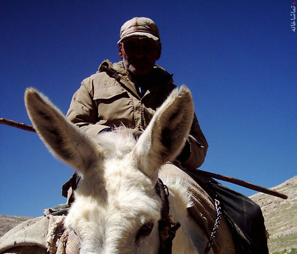 خرداد ماه روستاي الوير ساوه