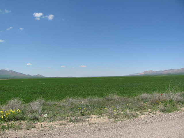 دشت بين روستاي قارلق و مقصود آباد