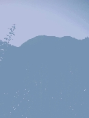 قشنگ ترين عكس من