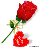 كارت تبريك عيد نوروز كارت تبريك عيد نوروز