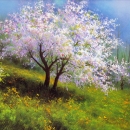 نوروزی5 نوروزی5