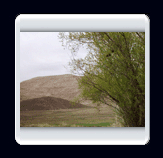 روستاي الوير