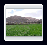 روستاي الوير