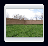 روستاي الوير