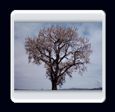 روستاي الوير