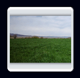 روستاي الوير