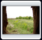 خرداد ماه روستاي الوير ساوه