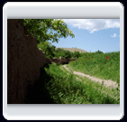 خرداد ماه روستاي الوير ساوه