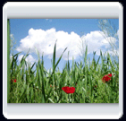 خرداد ماه روستاي الوير ساوه