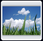 خرداد ماه روستاي الوير ساوه