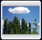 خرداد ماه روستاي الوير ساوه