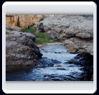 خرداد ماه روستاي الوير ساوه