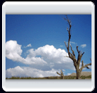 خرداد ماه روستاي الوير ساوه