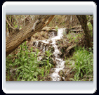 خرداد ماه روستاي الوير ساوه