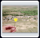 خرداد ماه روستاي الوير ساوه