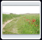 خرداد ماه روستاي الوير ساوه