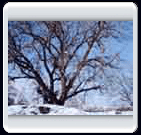 زمستان روستاي الوير ساوه