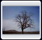 زمستان روستاي الوير ساوه