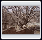 زمستان روستاي الوير ساوه