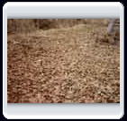 زمستان روستاي الوير ساوه