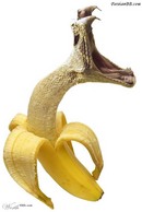 هرکس دلش میخواد می تونه این میوه رو امتحان کنه هرکس دلش میخواد می تونه این میوه رو امتحان کنه