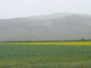 روستای سرسبز سنگستان