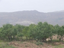روستای سرسبز کماللو