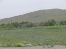 روستای سرسبز سنگستان