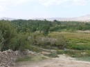 روستای سرسبز سنگستان