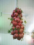 مسابقه عنار 8 (عکس انار)